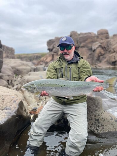 Fyrstu laxarnir komnir á land í Miðfirði