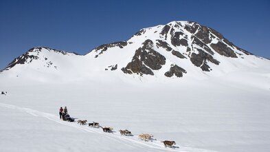 Útilokað að hundur sem týndist fyrir 38 árum sé sá sami og fannst við Langjökul