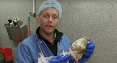 Fiskikónginum blöskraði þegar hann hlustaði á útvarpið – Svarar fyrir sig og birtir myndir