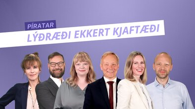 Píratar töpuðu tæplega 12 milljónum